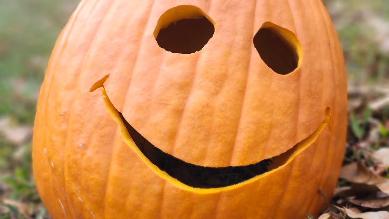 Pumpkin carving 2025