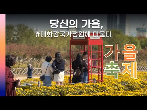 울산여행 당신의 가을 태화강국가정원에 머물다 울산 중구 Ulsan Korea 