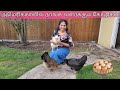        chicken in america  pudhumai sei  usa tamil vlog