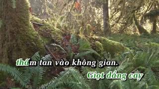 Video voorbeeld van "Đổi Thay   Trần Tâm Karaoke   Beat Chuẩn"