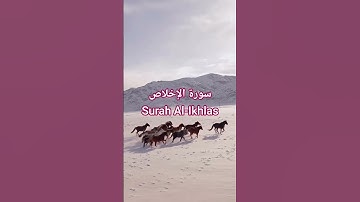 سورة الإخلاص Surah Al-Ikhlas | قرآن. #المصحف #اكسبلور #الشيخ #قرآن