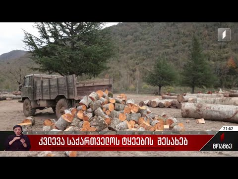 კვლევა საქართველოს ტყეების შესახებ