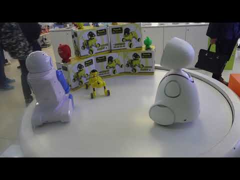 Robotic Entertainment In Wenzhou