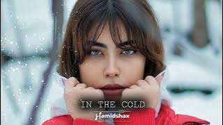 Hamidshax - In the Cold (Original Mix)