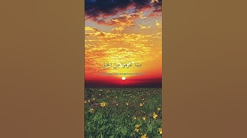 #بسم الله #قرآن كريم #دعم #مشاهير #القدس عاصمة فلسطين 🇵🇸 #القدس لنا #راحه نفسيه #ايات