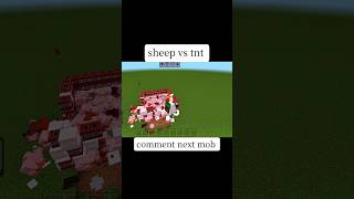 Minecraft TNT sheep Explosion 🖤 #minecraft #tnt#shorts