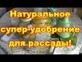 Делаем натуральное удобрение из банановых шкурок