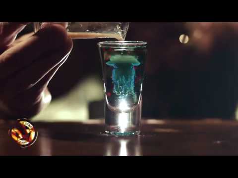 MEDUZA shot
