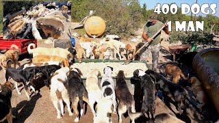 65yearold man who lives with 400 stray dogs he rescued and adopted. @abdulkerimkutlu