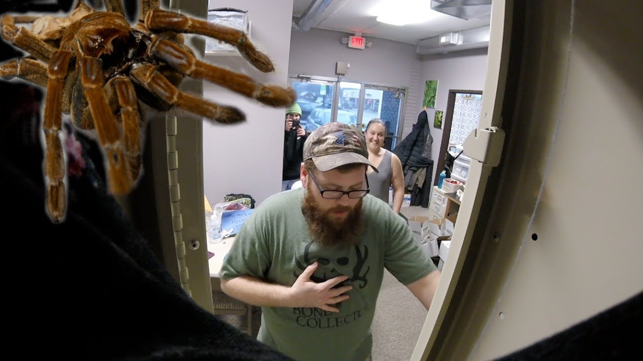 freakout 二代目 PRANKED ERIC WITH THE GOLIATH BIRD EATER!! (FREAKOUT!)