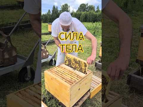 ДЛЯ СПОРТА И СИЛЫ