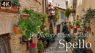Spello (Umbria), the flower town of Italy - Italy Walking Tour