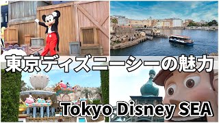 【真夏の子連れディズニーシー】大人も子供も大興奮！夢の国で過ごした一日 / Tokyo Disney SEA