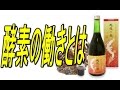 野草酵素原液 越後の龍 酵素ドリンクの口コミ・効果体験談