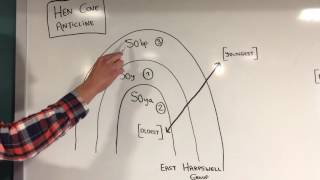 Yarmouth Island: Folding and Boothbay Thrust Fault