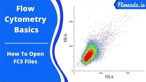 Flow Cytometry Basics: How to open FCS files (floreada.io)