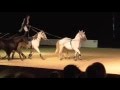 Lorenzo The Flying Frenchman Your Horse Live 2016 Part 1
