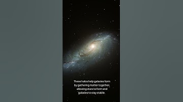 How Dark Matter Halos Shape Universe