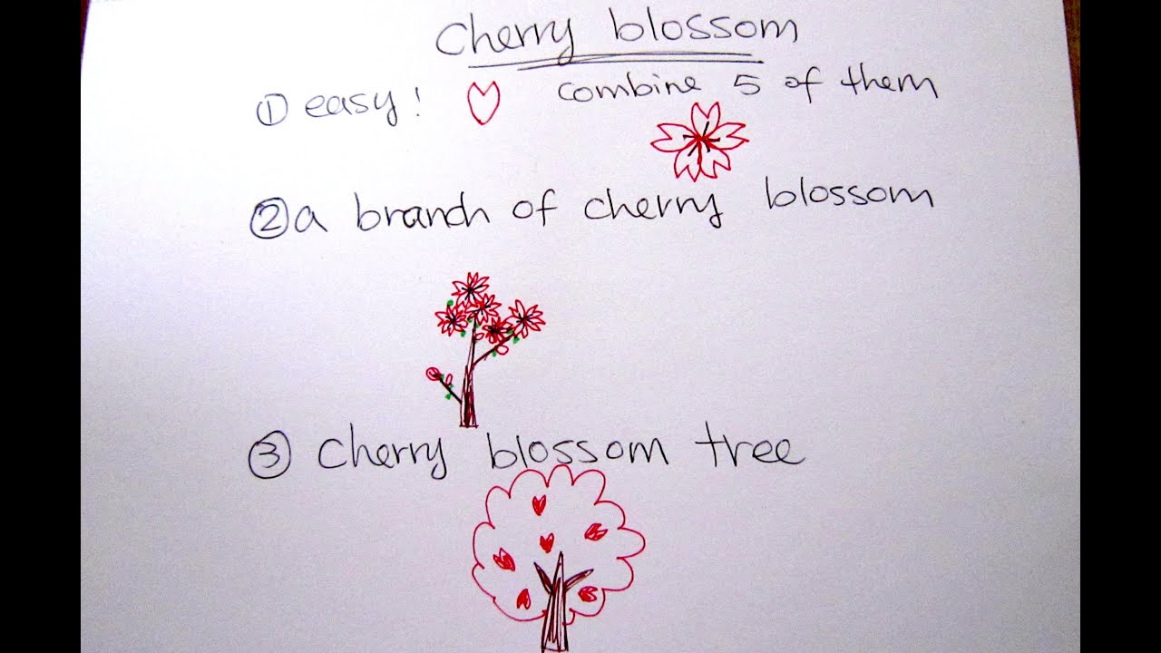 How To Draw Cherry Blossom Easy Drawing Tutorial For Beginners