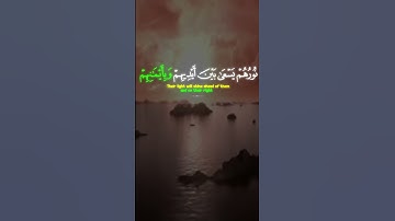يَـٰٓأَيُّهَا ٱلَّذِينَ ءَامَنُوا۟ تُوبُوٓا۟ إِلَى ٱللَّهِ تَوْبَةًۭ نَّصُوحًا || القارئ اسلام صبحي