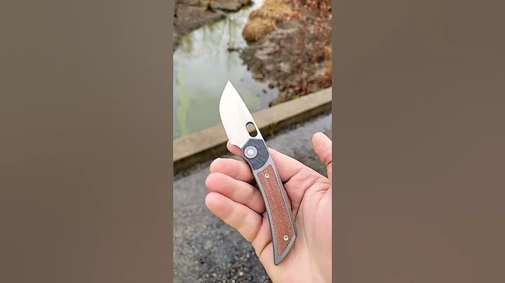 New Twosun Integral! TS-142 M390 Carbon Fiber and ...