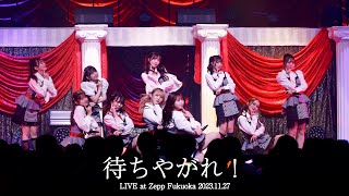 【LIVE】待ちやがれ！ (HKT48 秋LIVE2023～博多にまつわるエトせとら～)／HKT48[公式]