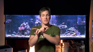 Mr. Saltwater Tank Friday AM Quick Tip #145: How To Skip Acclimating Your Corals To Your New Bulbs