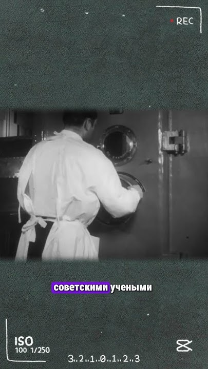 Три добавки для улучшения работы мозга! #shorts - YouTube