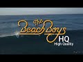 THE BEACH BOYS Surfin U S A LIVE VIDEO Retro Mix 2021 Versión HIGH QUALITY SOUND mp3