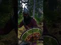 Henry Massacres Cumans | Kingdom Come: Deliverance 2 - Combat