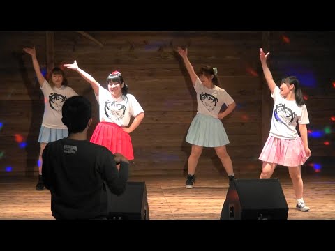【5周年ワンマン[前半]】だんすろーず＆さゆ抹茶『ハロー・ニューワールド/n.k feat.初音ミク』【踊ってみた】＠岡山市 BLUE BLUES 20191102