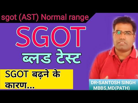 ast sgot blood test