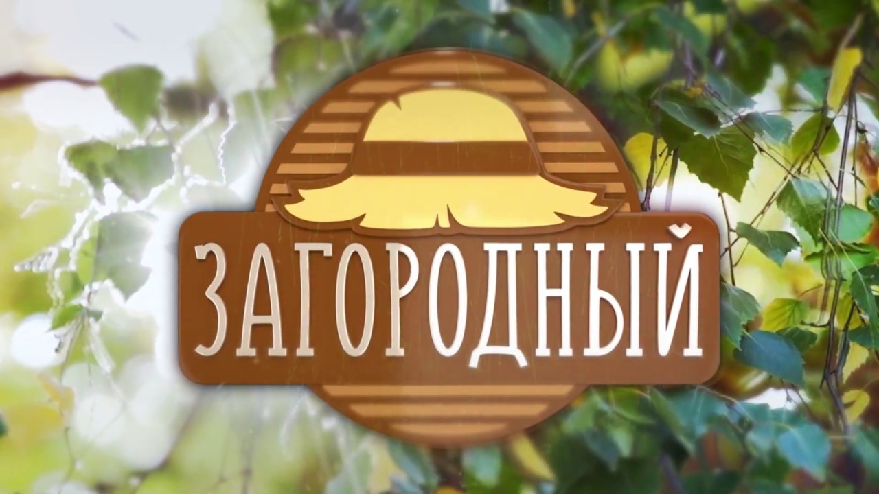 Ютуб загородный канал. Загородный канал. Загородный логотип. Логотип канала загородный. Канал загородный INT.