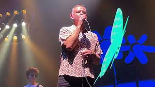 INSPIRAL CARPETS - Butterfly