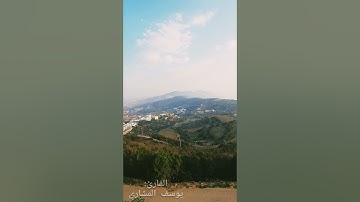 ( وقالوا الحمدلله الذي صدقنا وعده ) تلاوة جميلة محبّرة