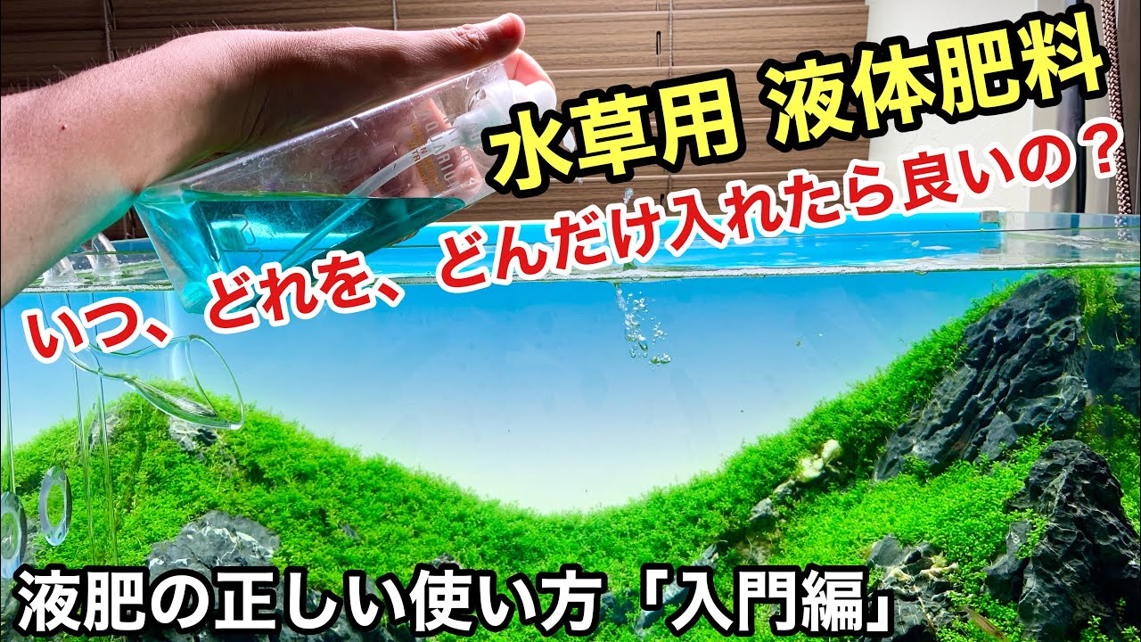 水草水槽の液体肥料の使い方 入門編 いつ添加するの どの栄養を入れるの どのぐらい入れるの ａｄａ ネイチャーアクアリウム立ち上げ初心者 水草の育て方 液肥 カリウム ミネラル 鉄 窒素 ニトロ Youtube