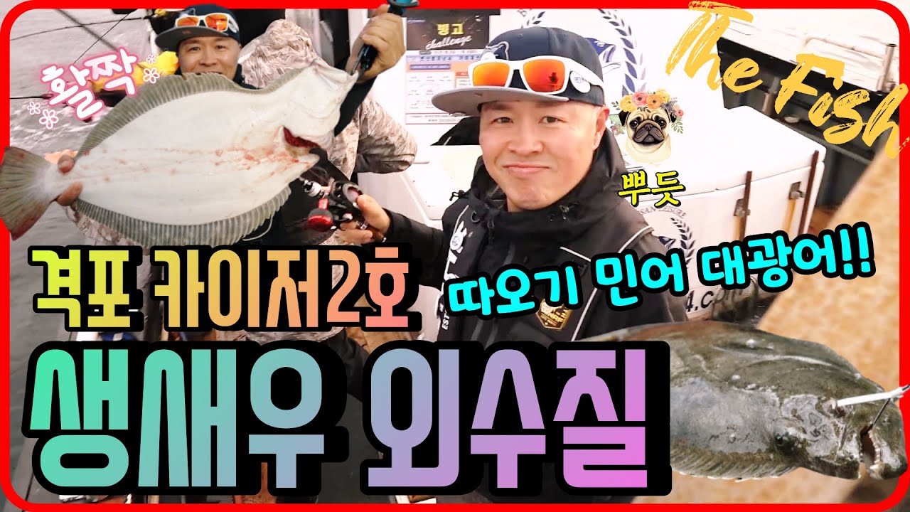 대광어 따오기농어 민어 모든게 다 나온다 생새우 외수질 격포 카이저2호 FTV The Fish 90회