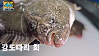 강도다리 회뜨기/강도다리 손질