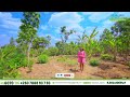 BUGESERA MAYANGE IKIBANZA KIGURISHWA Gifite 380m2 Giherereye Ahantu Heza Cyane Mu Miturire BUGESERA MAYANGE IKIBANZA KIGURISHWA Gifite 380m2 Giherereye Ahantu Heza Cyane Mu Miturire