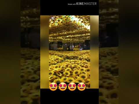 کوا عاشقه کانی گوله به روژ و عاشقه کانی قورعانی پیروز