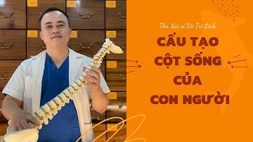 Cấu tạo hệ thống cột sống của cơ thể | Thầy Linh