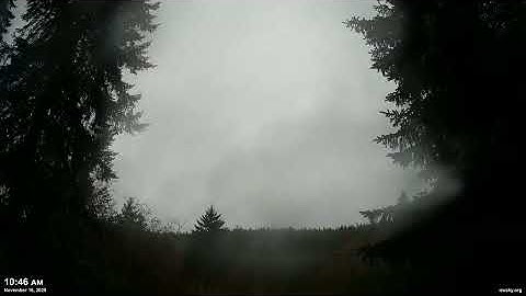 November 16, 2025 - Cloudy Pacific Northwest Skyscape Timelapse Video | 4K 60fps