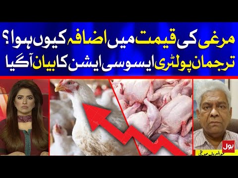 Why Chicken Price is Increasing?