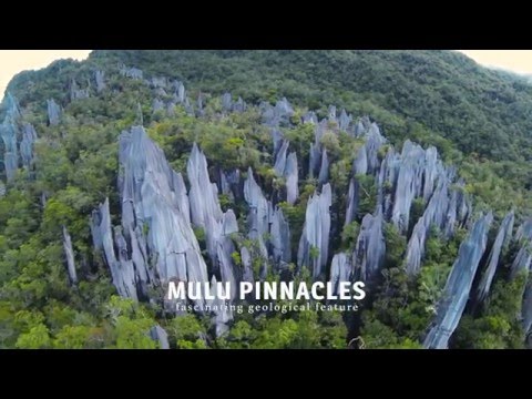 Video: Malaysia's National Parks thiab Nature Reserves