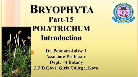Dr. Poonam Jaiswal, Bryophyta Part-15, Polytrichum -Introduction