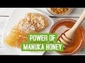 7 Powerful Benefits of Manuka Honey With Studies