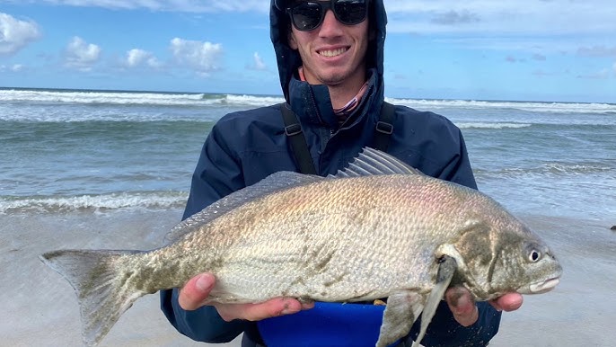 Surf Fishing in 6 INCHES of water?? [Corbina] 