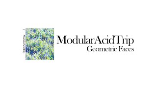 09 - Modular Acid Trip - Geometric Faces