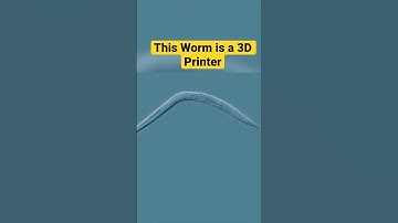 3D Printing Inside Living Worms: Merging Electronics & Biology