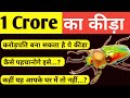 1 crore ka kida | Expensive Animal | Beetles #facts #amazingfacts #8888facts #factsvideo #stagbeetle